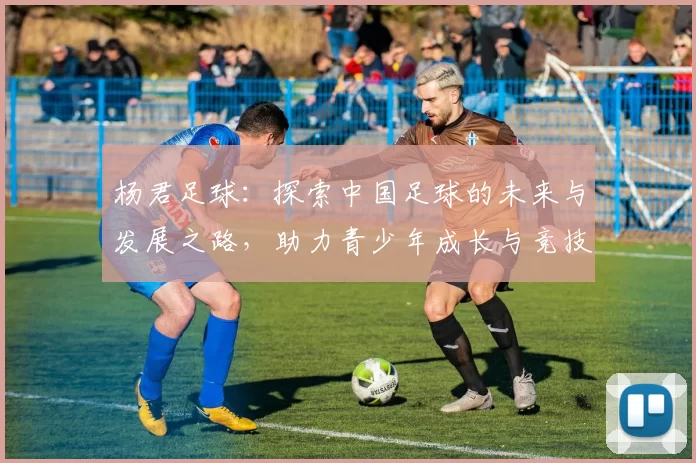 杨君足球：探索中国足球的未来与发展之路，助力青少年成长与竞技水平提升
