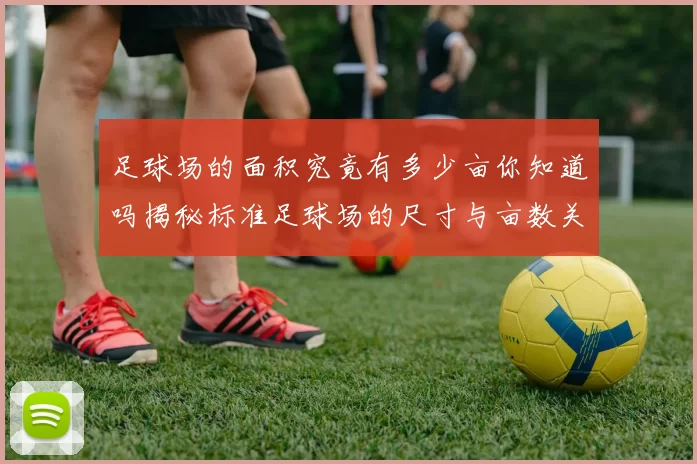 足球场的面积究竟有多少亩你知道吗揭秘标准足球场的尺寸与亩数关系